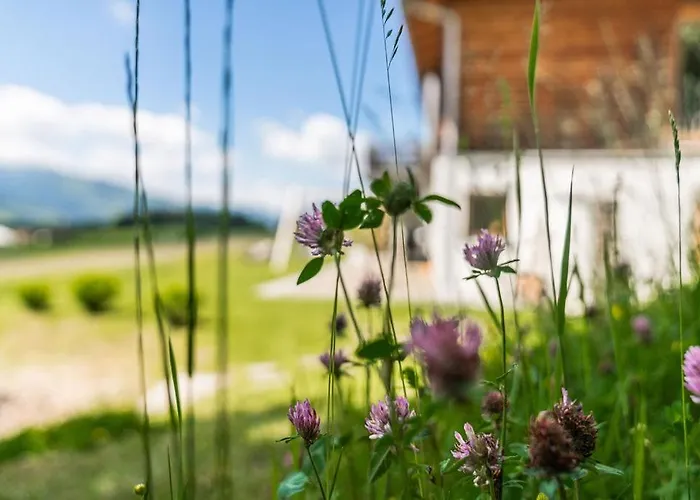 Felix By Schladmingurlaub Appartement *