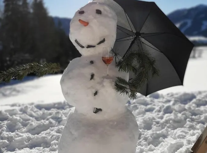 Appartement Felix By Schladmingurlaub *